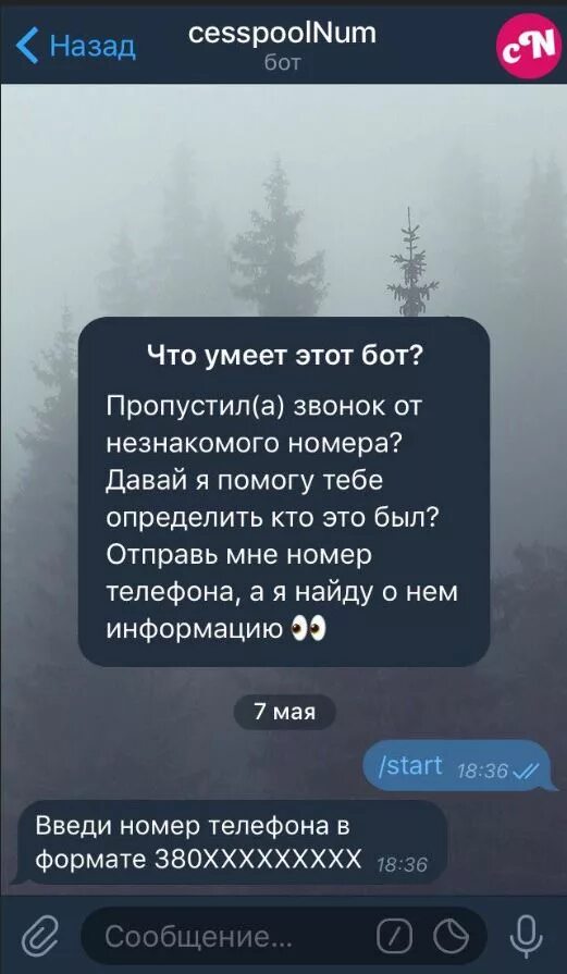 Телеграм бот для пробития по номеру. Бот телефонный номер. номера телефонов ботов. телеграм бот по номеру. телеграмм бот по номеру телефона.