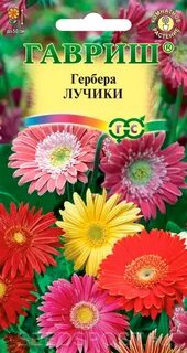 Гербера семена