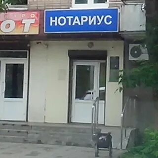 Смоленск нотариусы телефон график работы
