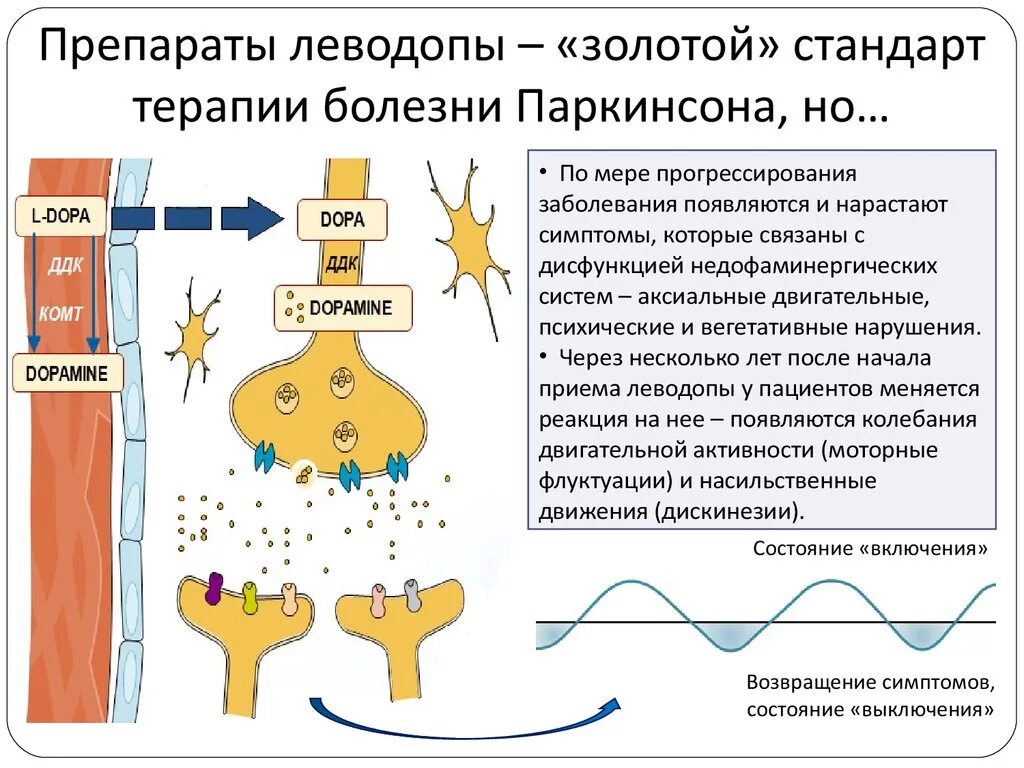Таблетки от паркинсона эффективные. Препараты леводопы при паркинсонизме. препараты при болезни паркинсона. механизм действия леводопы. болезнь паркинсона препараты.