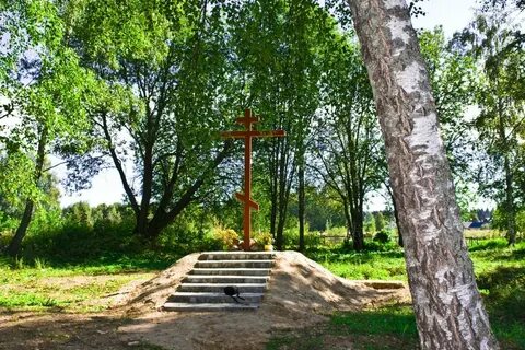 Погода в левкиево шаховская
