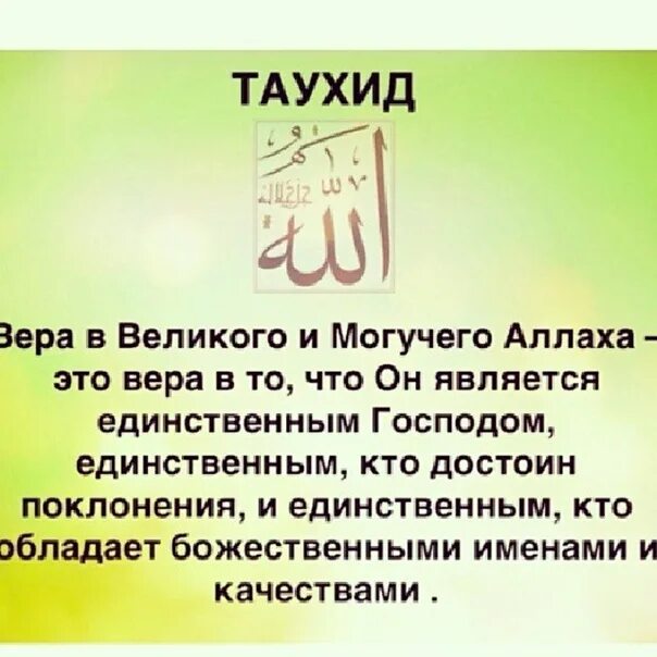 Что такое таухид в исламе. Таухид. таухид что это в исламе. таухид аллах. единобожие в исламе таухид.