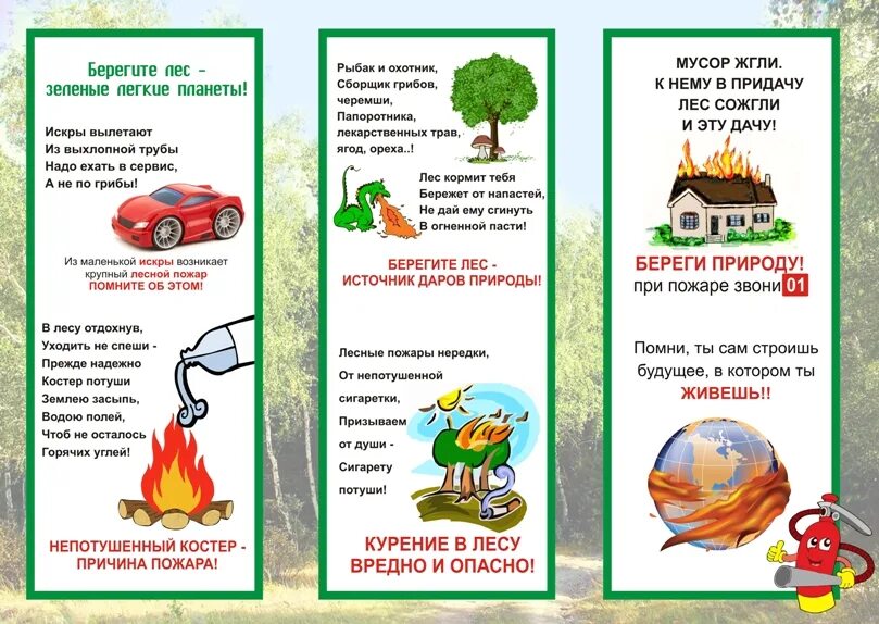 правила разведения костра. когда костер считается окончательно потушенным. потухший костер. пожарная безопасность в лесу для детей. потухший костер.