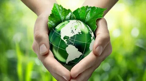 Individuals and the environment