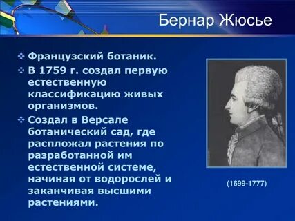 Ученого создавшего первую естественную классификацию организмов