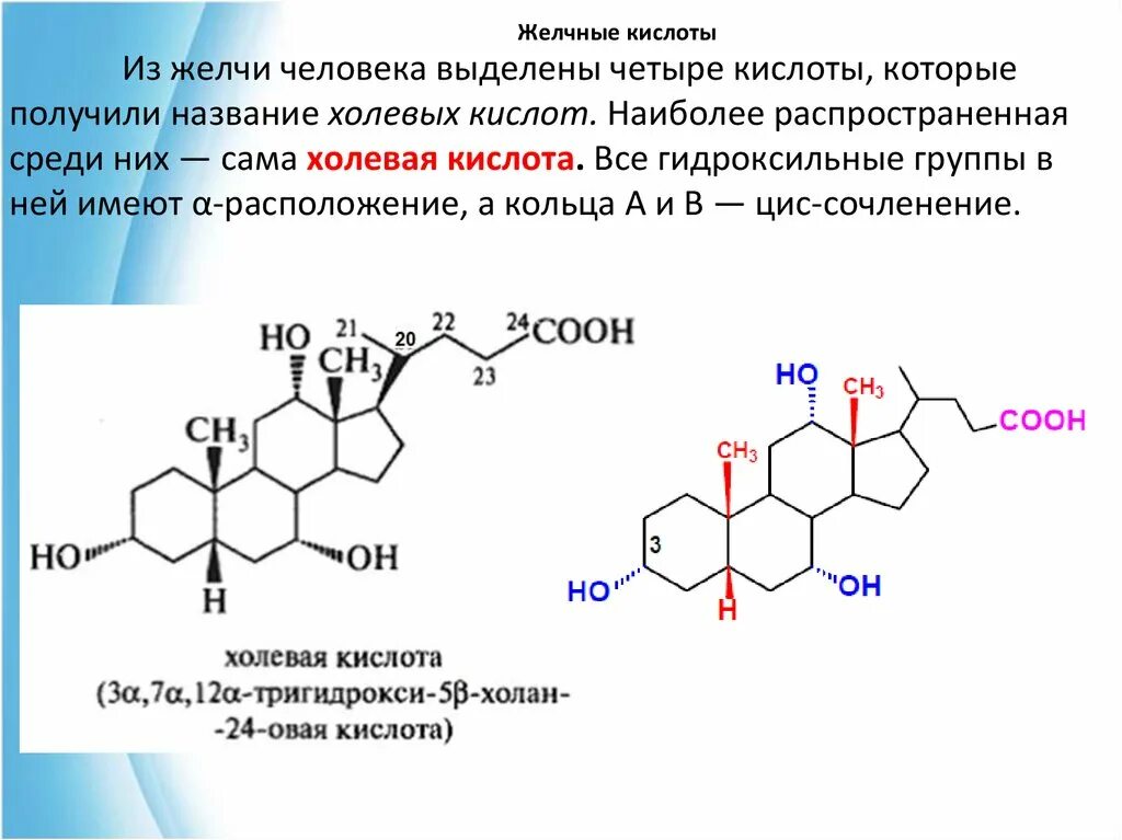 Желчные кислоты строение. Первичные желчные кислоты биохимия. формулы парных желчных кислот.