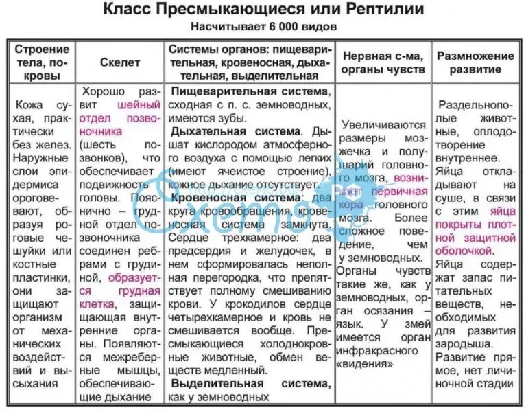 Кровеносная система земноводных и пресмыкающихся таблица. Таблица внутреннее строение пресмыкающихся 7 класс биология. общая характеристика пресмыкающихся 7 класс биология таблица. таблица по биологии 7 класс характеристика пресмыкающихся. характеристика отрядов пресмыкающихся таблица 7 класс биология.