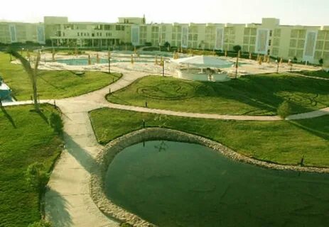 Raouf international