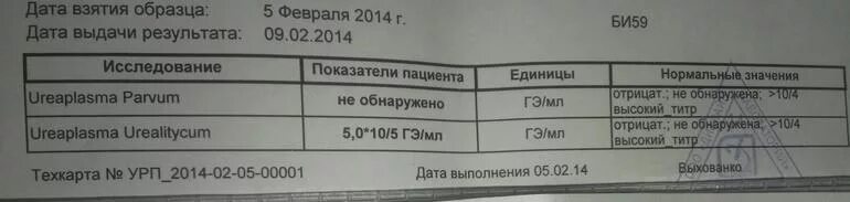 Уреаплазменная инфекция. Уреаплазма количественный анализ. Уреаплазма парвум норма. Ureaplasma urealyticum parvum у женщин. Уреаплазма у женщин 5.