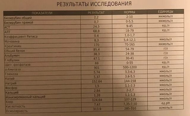 Альфа 2 глобулин понижен. Анализ крови общий глобулин это что. Анализ крови на билирубин. Билирубин ммоль. Билирубин общий и прямой норма.