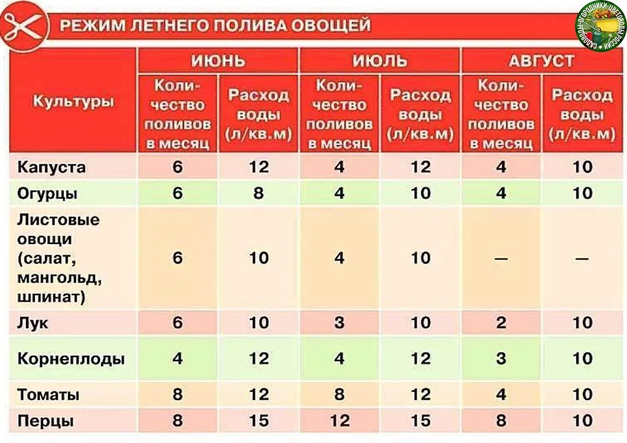 Сколько воды в овощах. Режим полива овощей в огороде таблица. График полива овощей. Таблица поливов. Таблица поливов овощей.