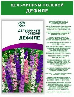 Значение цветов дельфиниум