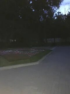 В сквере возле дома было так тихо