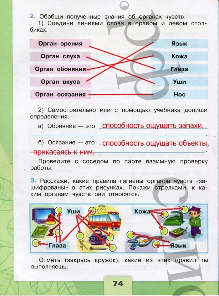 Окружающий 3 класс страница 77. Окружающий мир рабочая тетрадь 1 часть. 2 Класс окружающий мир рабочая тетрадь ст 73. Окружающий мир 1 класс рабочая тетрадь 1 стр 3. Окружающий мир 3 класс 2 часть рабочая тетрадь страница 74 номер 2.