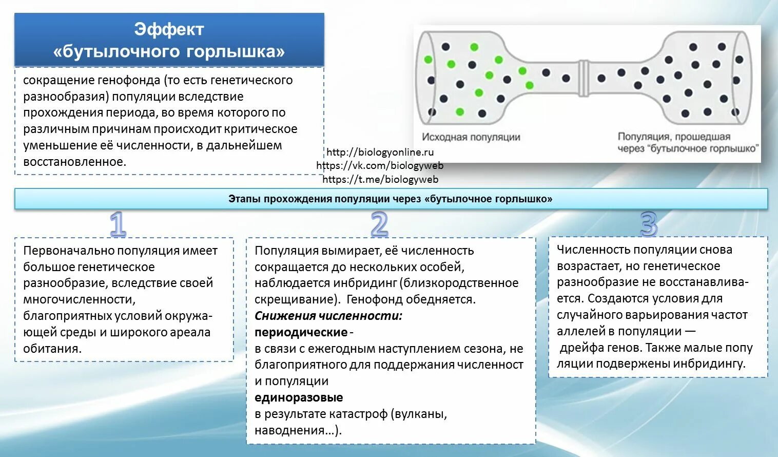 Бутылочное горлышко в эволюции