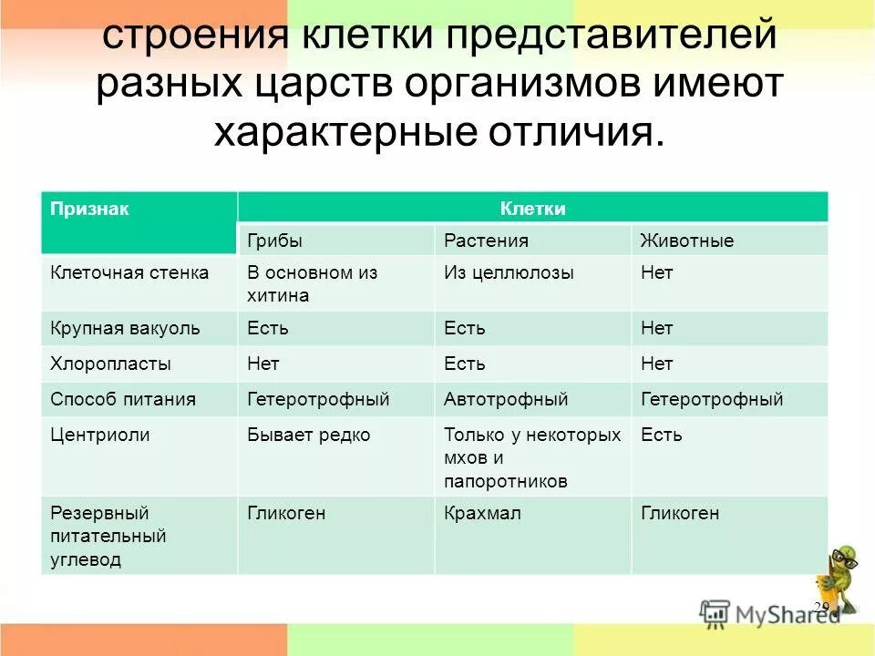 Черты различия клеток