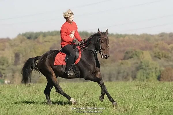 Кск ромашково. КСК Фортуна Ромашково. КСК Ромашково тренера. Конный клуб Ромашково. Ромашково конный клуб Москва.