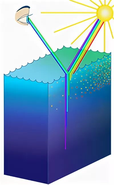 Отражение света от воды. Поглощение света водой. Цвет поглощения воды. Рассеивание света в воде.