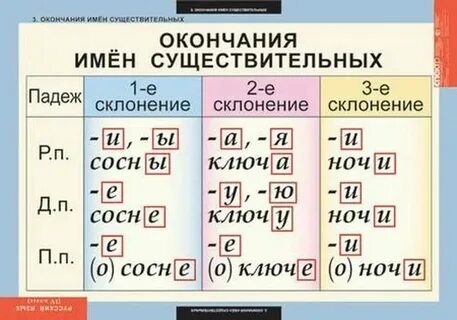 Склонение и падеж существительного опушке