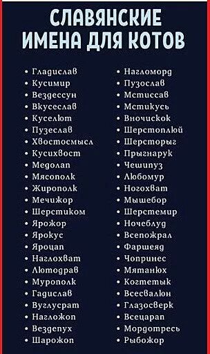 Какое название можно дать