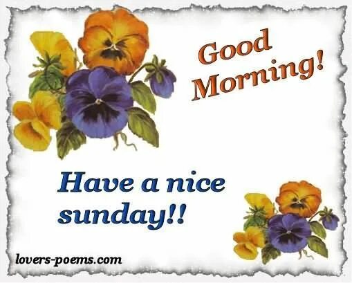 It had sunday. Have a nice sunday. have a nice sunday , gif. good morning have a nice sunday. have a good sunday.