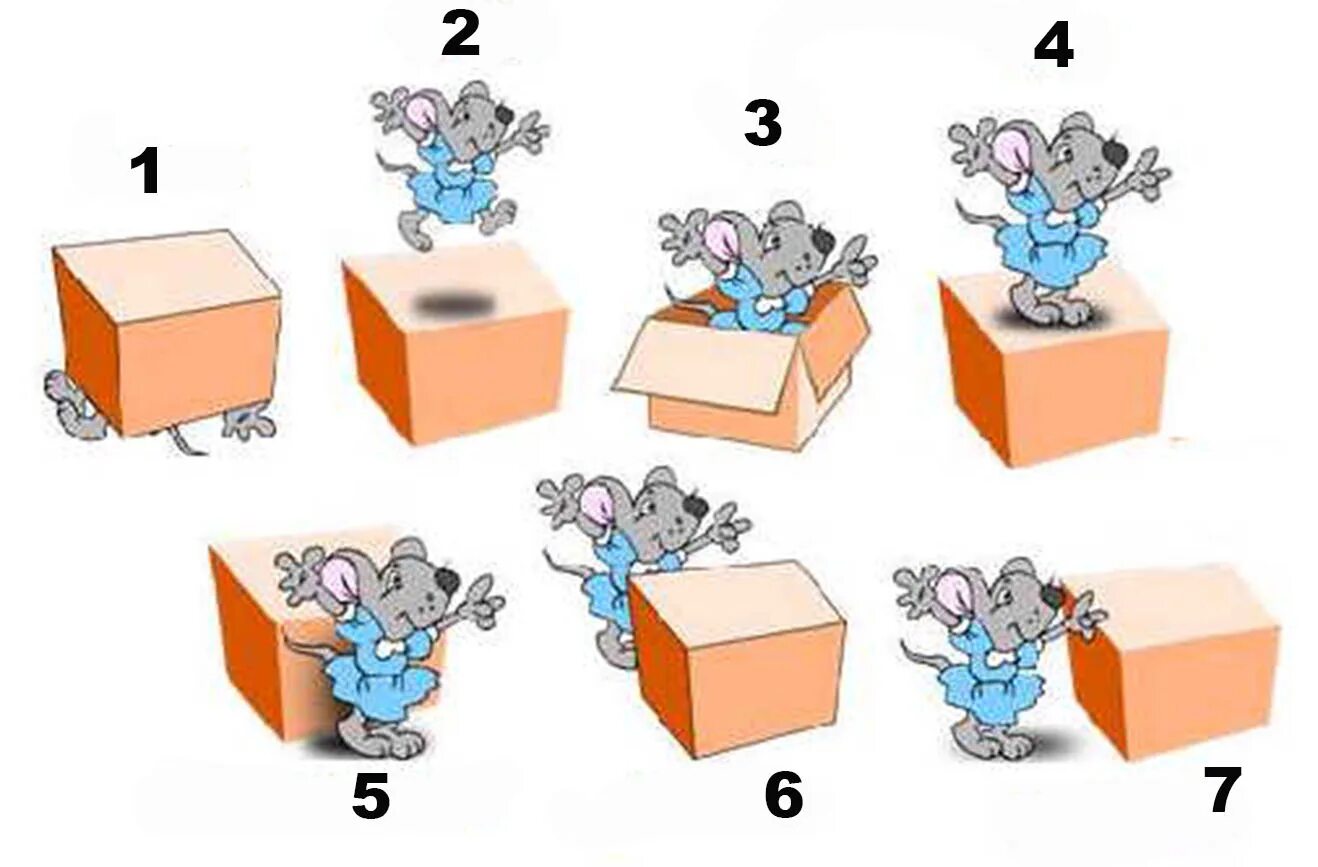 Where are the box boxes