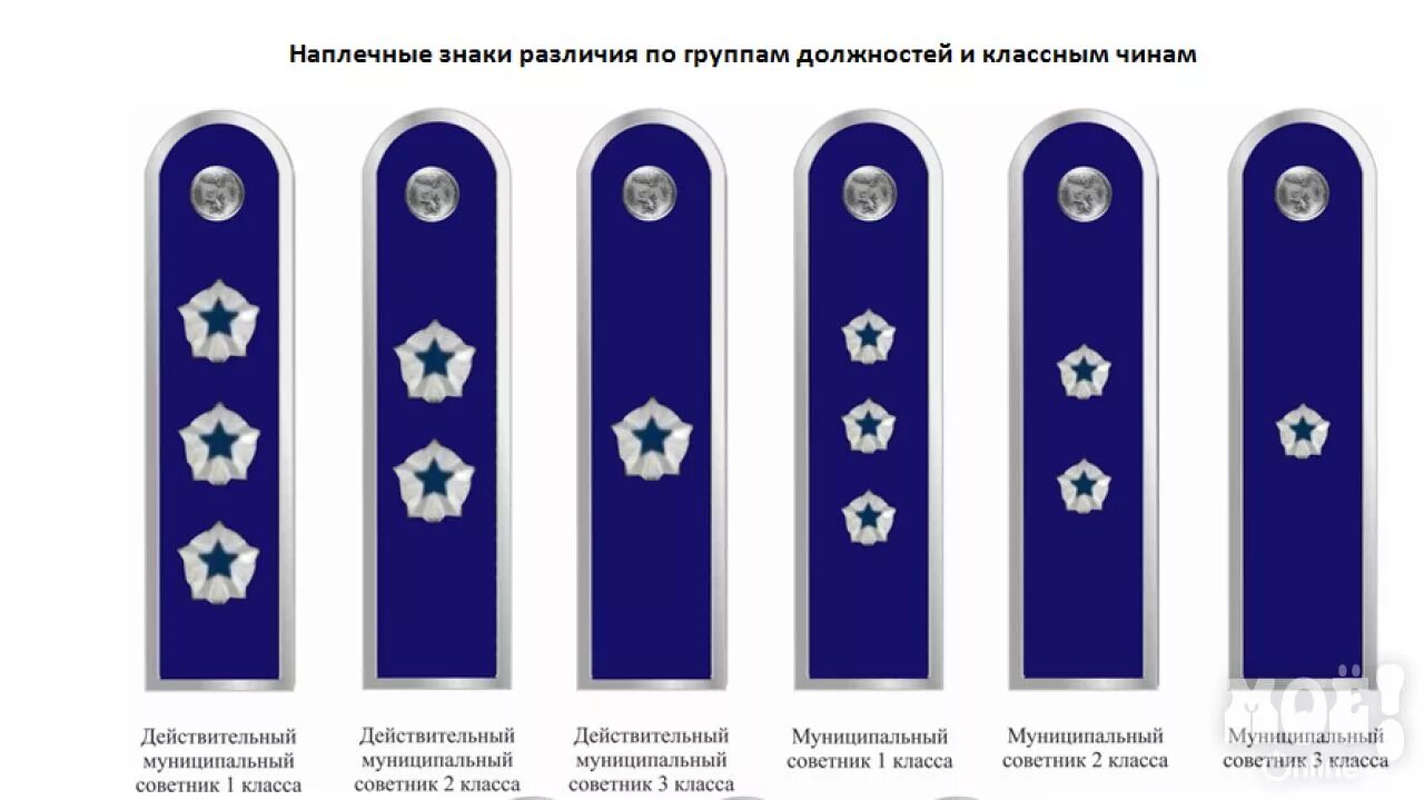 Советник ГГС РФ 3 класса погоны. Референт государственной гражданской службы Российской погоны 2. Знаки различия государственной гражданской службы РФ. Советник ГГС РФ 2 класса погоны. Классный чин действительного государственного советника