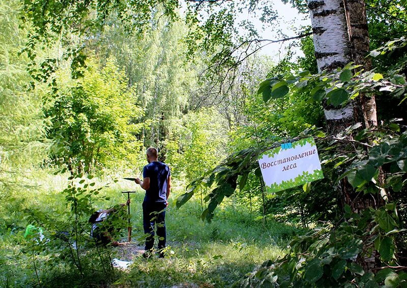 В Вологодском районе проверили реализацию проекта "Парки в лесу"