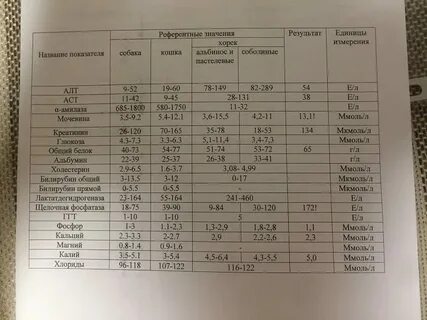 Биохимический анализ мочи креатинин