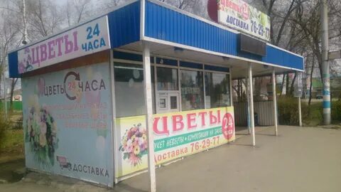Цвету 24 часа