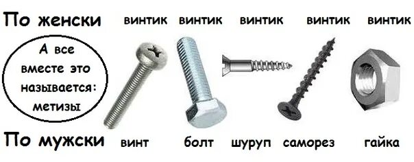 Чем отличается винт. Шуруп винт болт отличия. m5x16 болт саморез 1012642 ford. винт болт vag m8. болтик винтик шуруп саморез.
