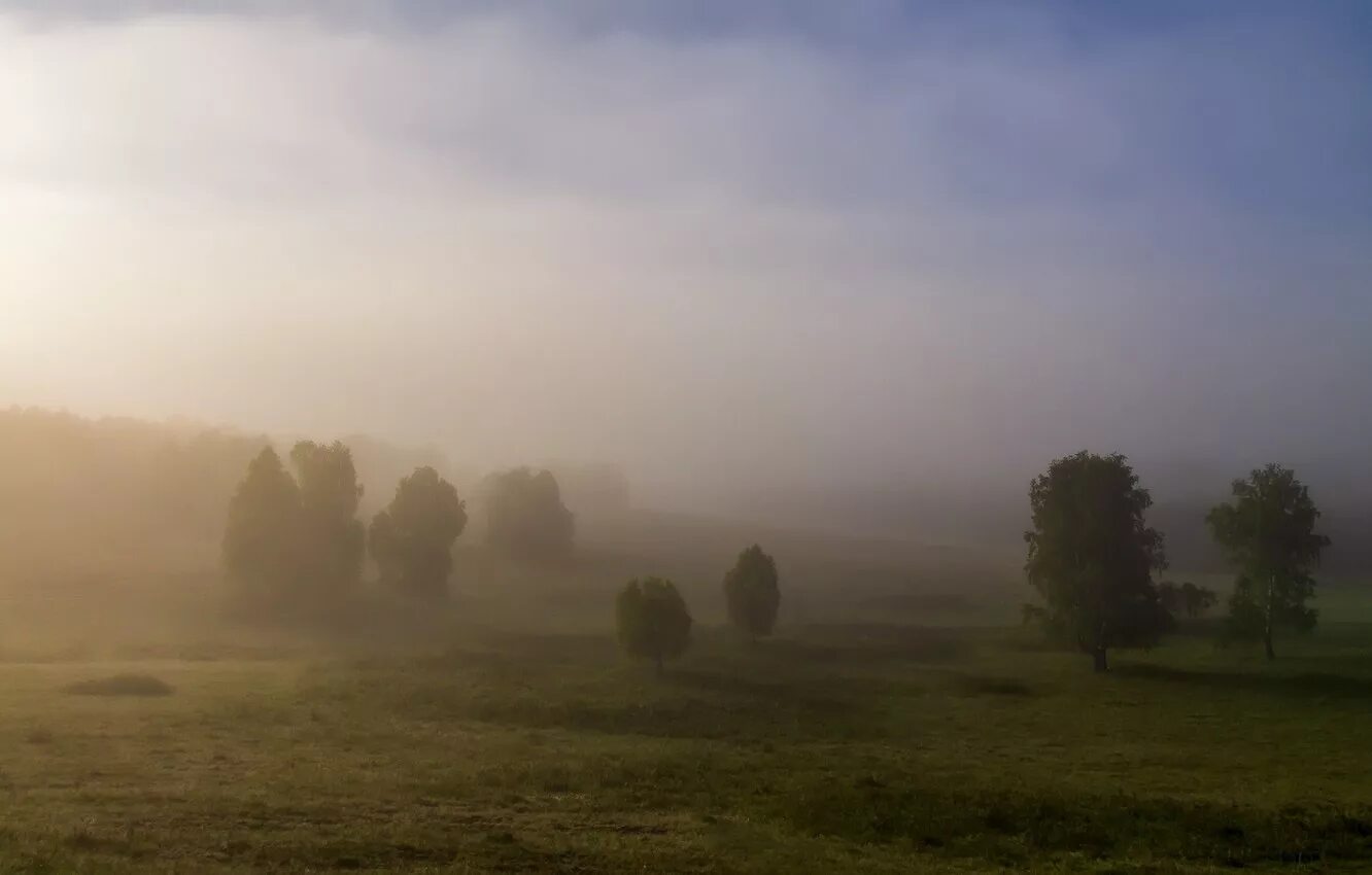 Туманное утро в деревне. Туманные холмы. Туман ТУМАНИЩЕ. Дерево туман утро.