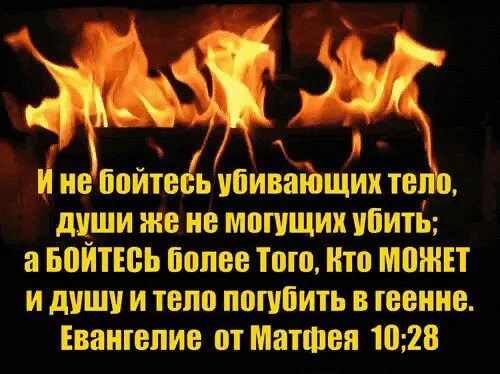Боюсь быть убитым