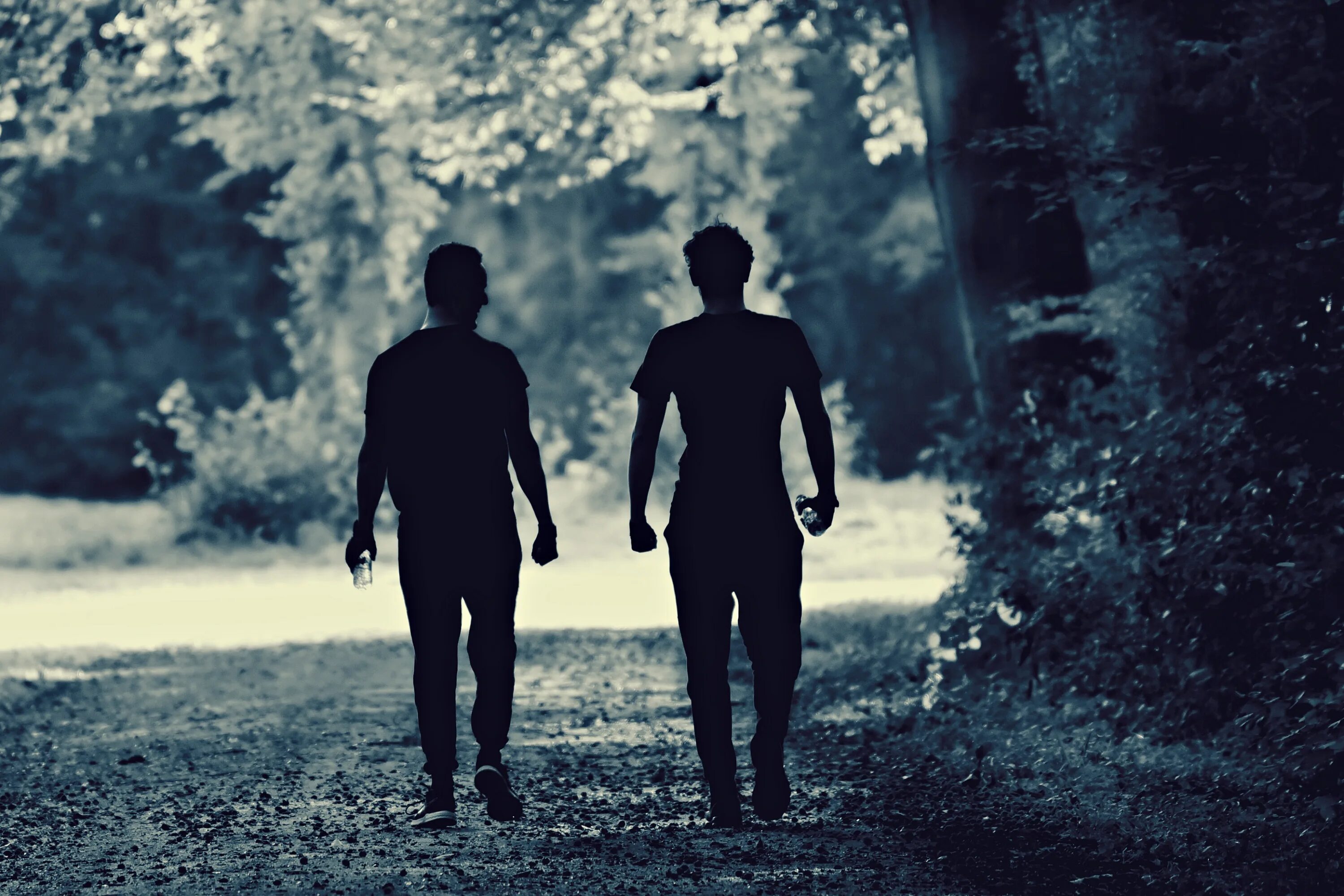 Брат и дороги друзья. Силуэты двух мужчин. Два человека идут. Двое мужчин в лесу. Два парня в лесу.