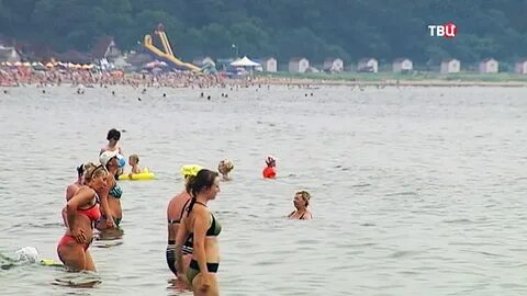 Температура моря во владивостоке