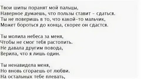 Текст песни розы синдром