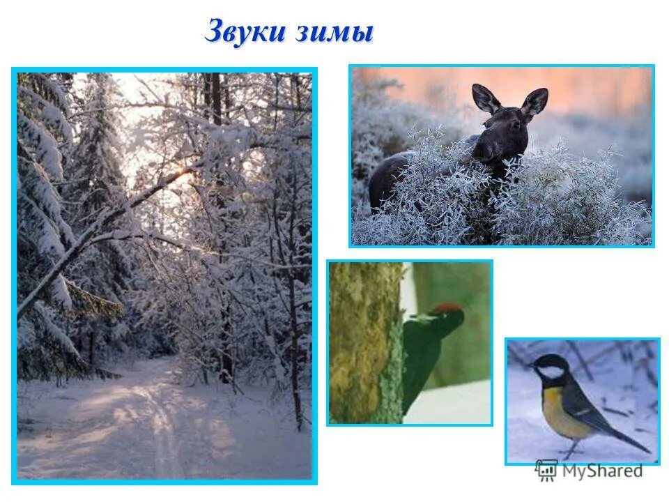 фонетический разбор слова зима. зимний релакс фото. зима звуковой. звуки зимы. звуки зимы презентация.