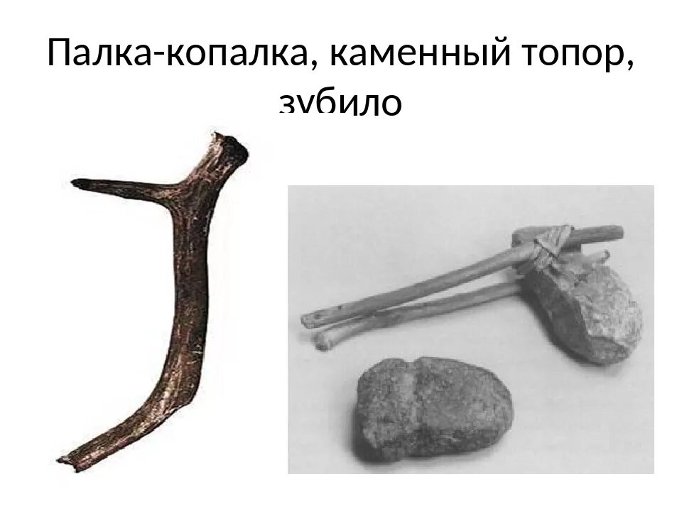 Жизнь первобытных людей