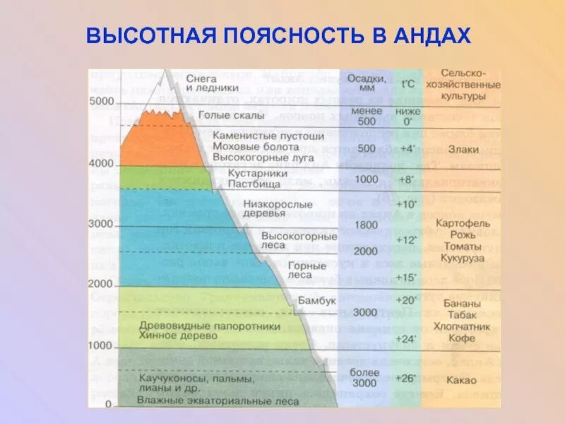 Сколько высотных поясов в горах. Высотная поясность Гималаев. Высотная поясность в Андах. Высотная поясность Гималаев схема. Схема ВЫСОТНОЙ поясности Гималай.