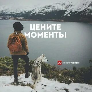 Фраза момент жизни