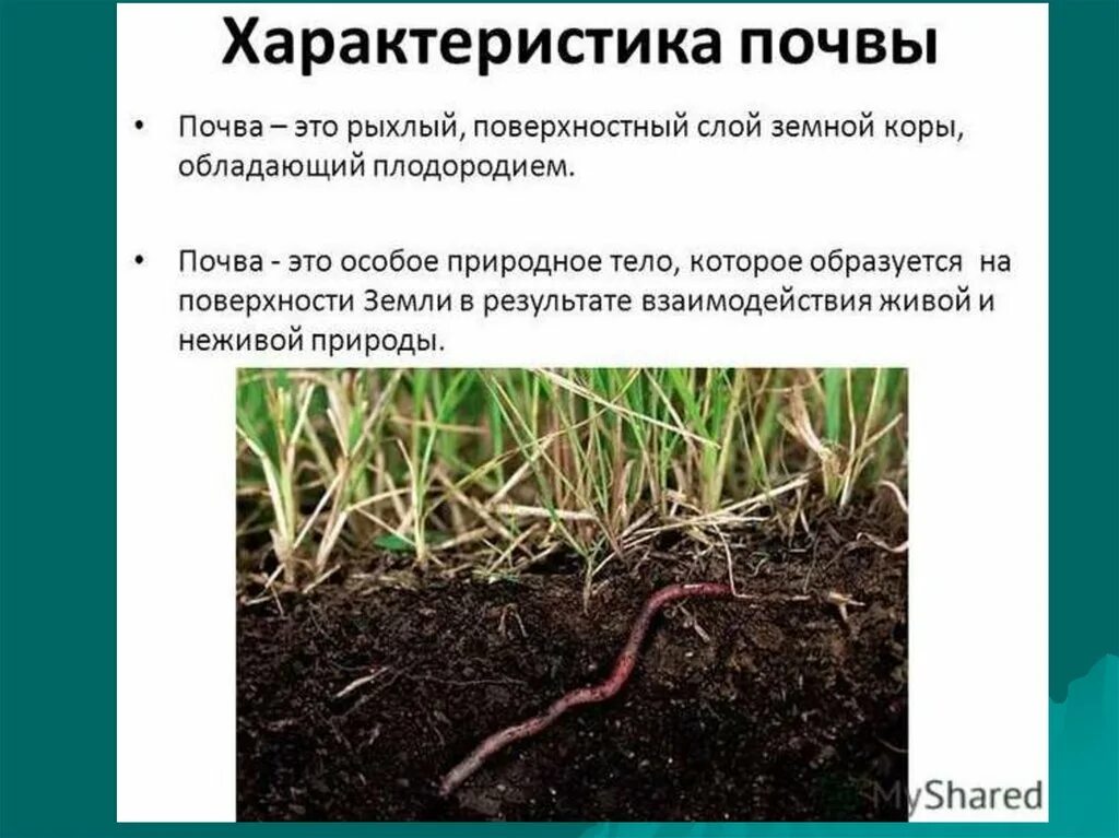Наибольшее плодородие почвы. Плодородие почвы. повышение плодородия почвы. понятие плодородие почвы. плодородие почвы презентация.