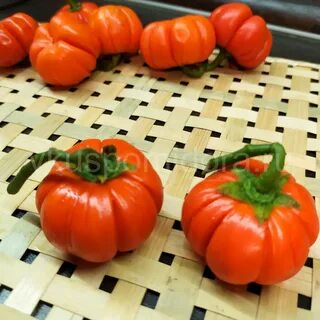 Магазин семян вкус помидора