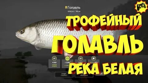 Рр4 форель на белой