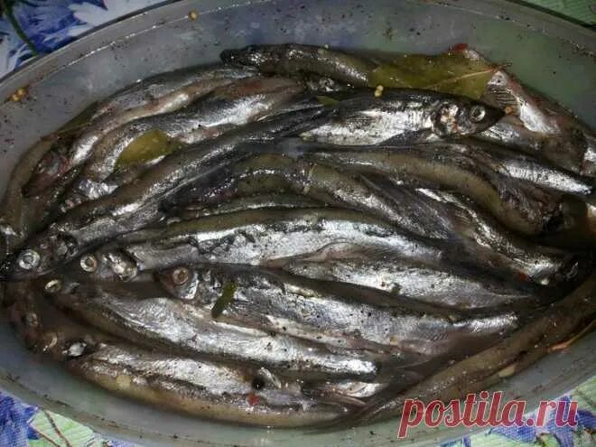 Мойва пряного посола - пошаговый рецепт с фото на Повар.ру
