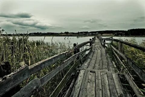 Острова курганская область
