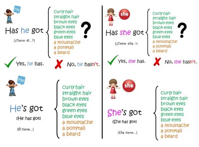 You have got the love. She have got или has. My brother have или has got. My brother and i have got или has got. She has или she have.