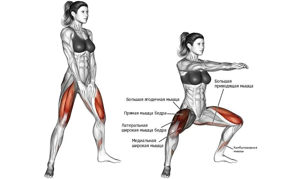 Приседание плие с гантелей. Мышцы при приседании плие. Мышцы задействованные при приседании плие. Приседания плие мышцы задействованы. Присед плие какие мышцы работают.
