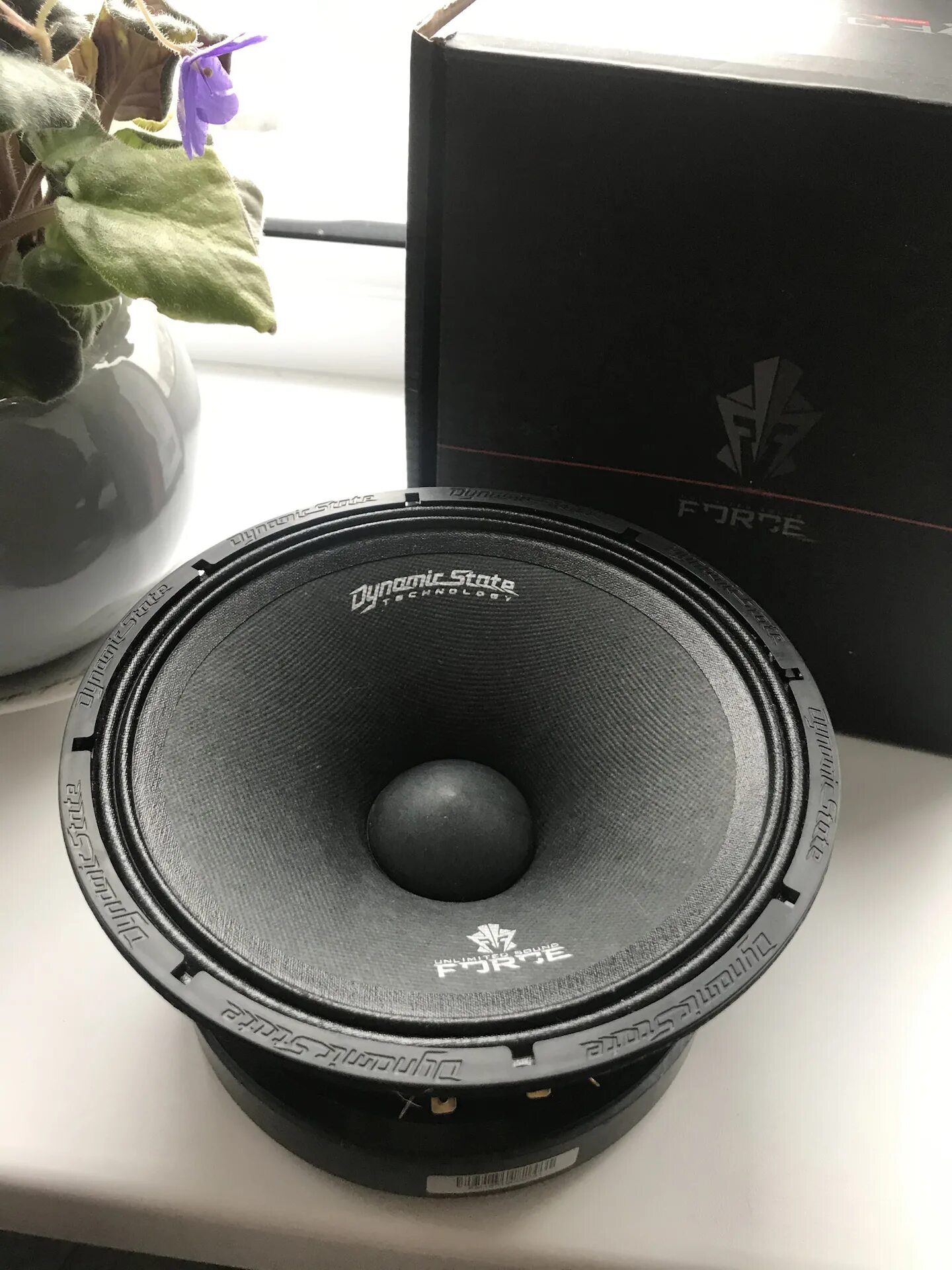Fm165 dynamic state. Dynamic state force. Dynamic state force. Сабвуфер форс 15 динамик. Сабвуфер dynamic state 15.