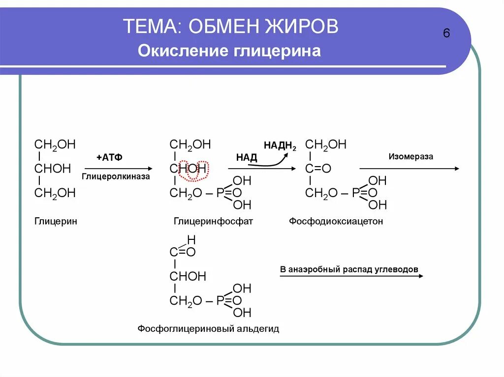 Окисление жиров реакция