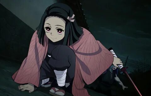 Demon slayer animego